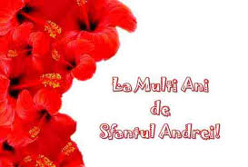 Pentru ca a venit timpul sa incepem sa facem urari pentru persoanele dragi noua, avem o galerie de imagini pentru revelion 2014, numai bune florarie non stop cluj. Mesaje Haioase De Sfantul Andrei Sms Uri Felicitari È™i UrÄƒri Amuzante De Sfantul Andrei Ziarul Unirea