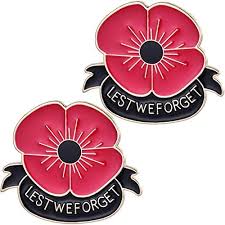 poppy brooches amazon