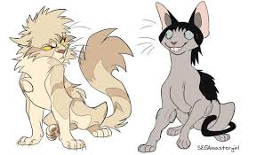 Pin By Lusia On Crossovers Warrior Cats Cat Drawing My Hero