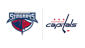 The resolution of png image is 2400x2400 and classified to coastal carolina logo ,carolina panthers ,south park. Capitals Renew Echl Affiliation With South Carolina Stingrays
