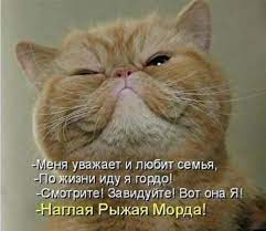 pin na doske kotomatrica