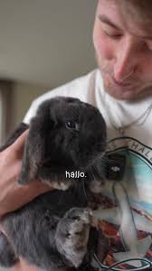 Top 3 Dingen Gemist Na 3 Weken in Amerika