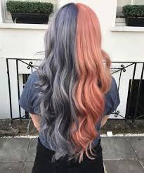 Split Dyed Hair Black And Blue Great Photo Split Dyed Hair Style In 2020 Aesthetic Hair Two Color Hair Half Colored Hair