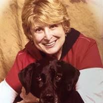 Barbara Lieb's Instagram, Twitter & Facebook