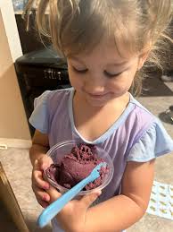 Dairy-free low-protein ice cream recipe