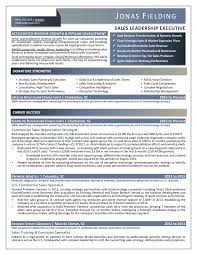 Samples Executive Resume Services In 2020 Executive Resume Executive Resume Template Business Intelligence