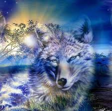 Free delivery worldwide, airjordantrade.com online store buy now! Cool Wolf 1080p Wallpapers Cool Wolf 1080p Wallpapers Wolf Pictures Wolf Art Wolf Background