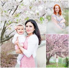 Cherry Blossoms Photo Shoot Outfit Ideas Showit Blog Photoshoot Outfits Photoshoot Spring Portraits