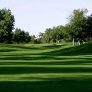 To determine the thickness, remove a small square of your lawn to a depth of about 3 inches and measure the brown layer between the grass blades and the soil surface. Dethatching A Bermuda Grass Lawn