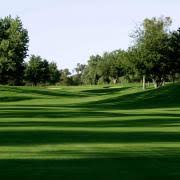 Pick a starting spot in the lawn and working in a regular pattern, pull the rake through the grass, digging into the thatch. Dethatching A Bermuda Grass Lawn