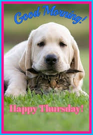 Happy Thursday Dog Animals Baby Animals Animal Lover
