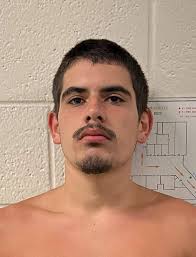 Handgun theft in Stuart, Florida, suspect identification