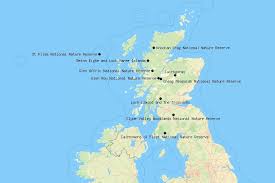 A stunningly beautiful walk through the ancient caledonian pine forest. 10 Most Beautiful National Parks And Reserves In Scotland With Map Photos Touropia