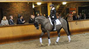 Theodora elisabeth gerarda (anky) van grunsven ( erp , january 2 1968 ) is a dutch dressage rider. Anky Van Grunsven Wil De Echte Salinero Look A Like Opstaan Omroep Brabant