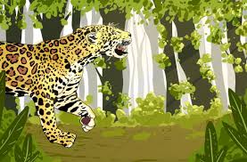 We did not find results for: Jaguares El Reloj Juega En Contra Para El Gran Felino De America