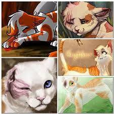 After that, please check out create your cat to get started! Brightheart Collage Warrior Cats Scourge Warrior Cats Art Warrior Cats