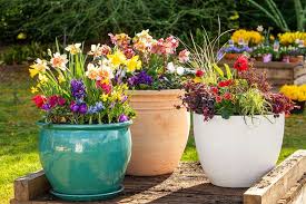 The fillers are secondary plants that make the planting look full and vibrant. How To Make Beautiful Flower Pots At Home Better Homes And Gardens