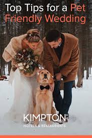 Top Tips For A Dog Friendly Wedding In 2020 Dog Wedding Outfits Pet Friendly Weddings Dog Wedding