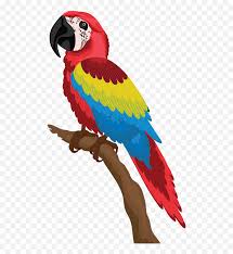 Kartu internet unlimited terbaik : Burung Png Download