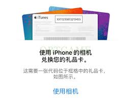p through chinese apple id verify