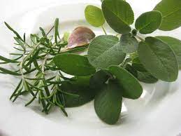 This second ingredient also softens the hair and gives it a fresh scent. Natural Rosemary And Sage Dye For White Hair Recipe And Application Grey Hair Cure Natural Gray Hair Covering Gray Hair