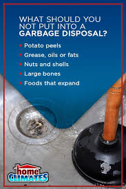 Find 51 ways to say put at disposal, along with antonyms, related words, and example sentences at thesaurus.com, the world's most trusted free thesaurus. Garbage Disposal Do S Don Ts Garbage Disposal Faqs
