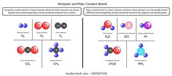 List molecules polar and non polar. Nonpolar Polar Covalent Bonds Infographic Diagram Stock Illustration 1087847450