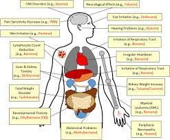 Major Impacts Of Vocs On Human Health Download Scientific Diagram