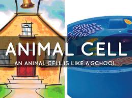 Maybe you would like to learn more about one of these? Cell Analogy Project By Jordan Lopez