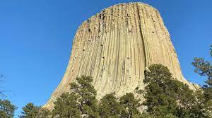 Subscribe to one tree planted: 902 Now That Is A Tree Stump Devils Tower National Monument Youtube