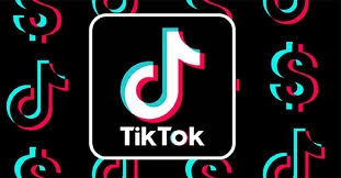 How To Shoot Cartoon Character Filter On Tiktok