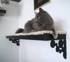 Place it according to your cat's. 10 Amazing Ikea Hacks Your Pet Will Absolutely Love