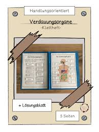 Klettheft Zu Den Verdauungsorganen Unterrichtsmaterial Im Fach Biologie In 2020 Biologie Unterrichtsmaterial Organe