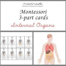 Account Suspended Montessori Printables Montessori Science Preschool Science