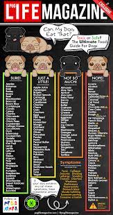 Foods Pugs Can And Can T Eat The Ultimate Food Guide For Dogs Dog Food Recipes Dog Safe Food Foods Dogs Can Eat