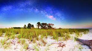 Check spelling or type a new query. Dr Julian G Bruce St George Island State Park Florida State Parks