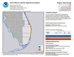 New Red Tide Sample Tests In The High Range At Carlin Park