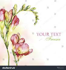 Freesia Flower Background Watercolor Freesia Flowers Watercolor Background Flower Backgrounds