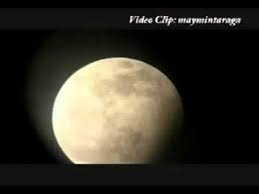 Aku kehabisan kata dan hampir tak dapat bicara dalam hati hanya ada rasa yang tak dapat kuwakilkan pada sajak lagu atau bunga. Kalau Bulan Bisa Ngomong Doel Sumbang Video Clip Maymintaraga Youtube