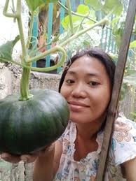 Biotropics Malaysia “Plant A Tree, Plant A Future”. #lettheworldknow 🌱 A  Vision Rooted in Science, Grown by Leadership.#grownbyleadership  #leadership Under the visionary leadership of Pn. Haliza Ramli, CEO of  #BiotropicsMalaysia, a simple