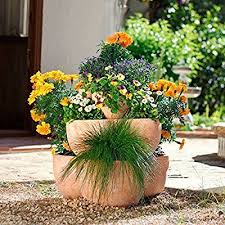 Terracotta Etagen Pflanztopf Amazon De Garten