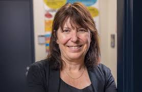 Shaping the future of health care in New Brunswick through transformative  education