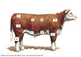 Think you know a lot about halloween? Picture Trivia Cuts Of Beef Project Trivia