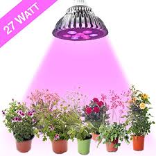 King plus 1200w double chips. Led Grow Lights For Indoor Plants 27w Best For General Hydroponics Home Herb Garden Vegetable Garden Medical Marijuana Energy Efficient Bulbs Peak Photosynthesis Colors For Growth Gro3827w Buy Online In Antigua And