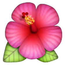 Flower Emoji Google Search Emoji Hibiscus Cartoon Flowers