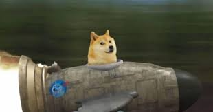 Discover new cryptocurrencies to add to your portfolio. Dogecoin Founder Disses Bitcoin Says He Turned Down 500 000