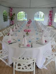 sfeerbeelden 2012 backyard birthday parties backyard birthday cheetah birthday party