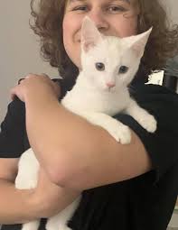 Sweet Makwa who was fostered by Kathy Crowe captured the hearts of this  very nice family who came all the way from Guelph to visit the shelter to  pick their 5th kitty