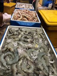 Supplier ikan laut segar langsung dari nelayan cilacap, harga murah kualitas fresh, tanpa formalin. Pasar Ikan Segar King Fish Menjual Hasil Laut Tambak Facebook