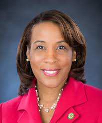 National Democratic County Officials